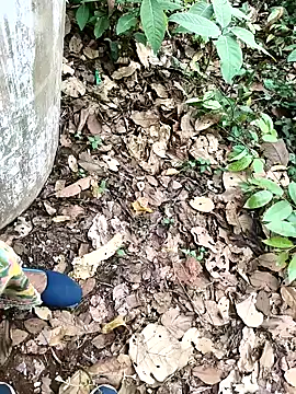 Chandni78 online show from 2, 4, 2026