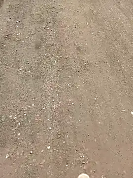 minauu s online show from 3, 4, 2026