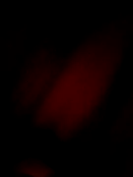 Snapshot of Eivar003 chatting on 3, 4, 2026 Eivar003 online show from 3, 4, 2026