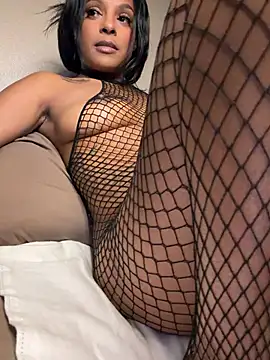 AreeAmor online show from 14, 4, 2026