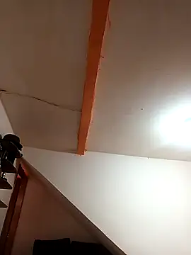 Snapshot of ricosh chatting on 11, 4, 2026 ricosh online show from 11, 4, 2026