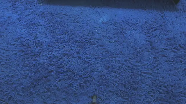 Snapshot of Mia-collins01 chatting on 15, 4, 2026 Mia-collins01 online show from 15, 4, 2026