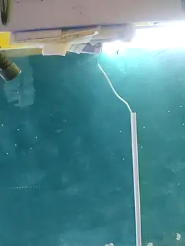 maicol6699 online show from 15, 4, 2026