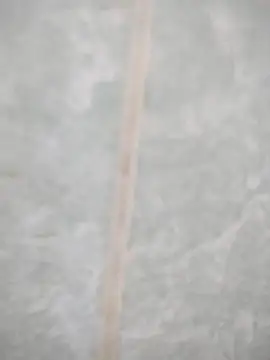 maicol6699 online show from 19, 4, 2026