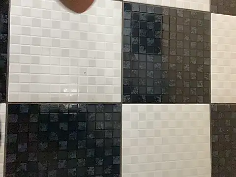 DignoDePutaria online show from 15, 4, 2026