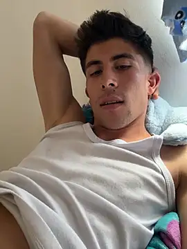 Snapshot of Luis-avatar chatting on 15, 4, 2026 Luis-avatar online show from 15, 4, 2026