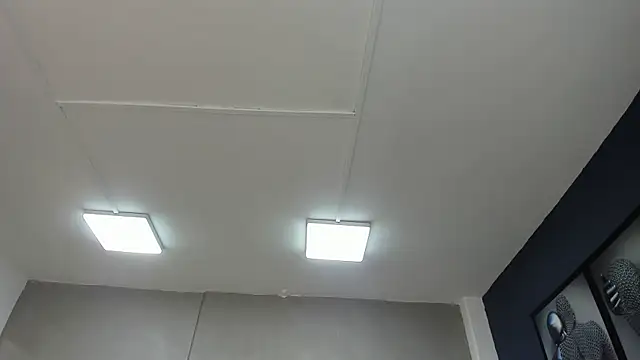 Charlie   Musk online show from 19, 6, 2026