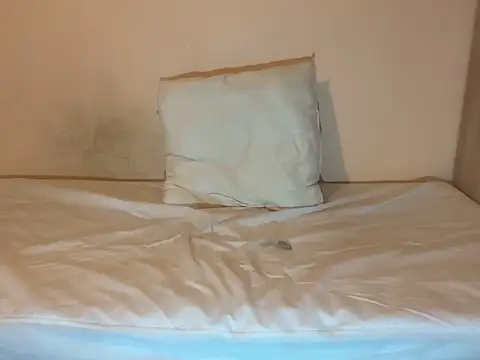 crazytranny online show from 18, 1, 2025