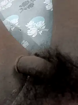 Peterhadly online show from 26, 4, 2026