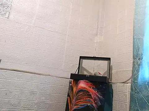 DivesOmnibus online show from 19, 5, 2026