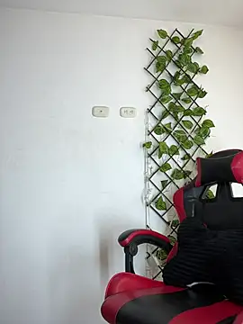 NelModel1 online show from 29, 6, 2026