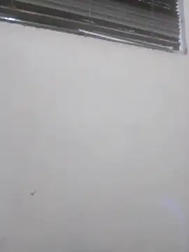 Badflacocachondo online show from 17, 6, 2026