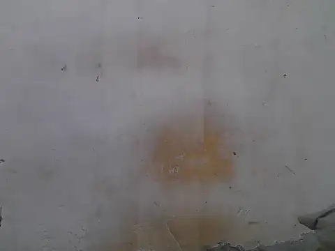 Snapshot of sweet_camillah00 chatting on 4, 6, 2026 sweet camillah00 online show from 4, 6, 2026