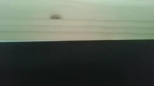 Snapshot of Hendrikje chatting on 2, 6, 2026 Hendrikje online show from 2, 6, 2026