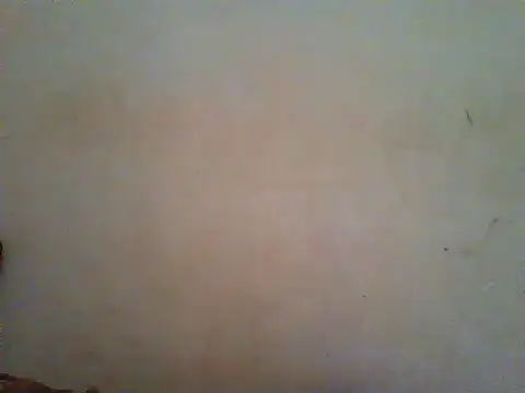 Snapshot of HomeBully chatting on 27, 6, 2026 HomeBully online show from 27, 6, 2026