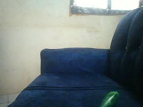 Snapshot of HomeBully chatting on 8, 7, 2026 HomeBully online show from 8, 7, 2026
