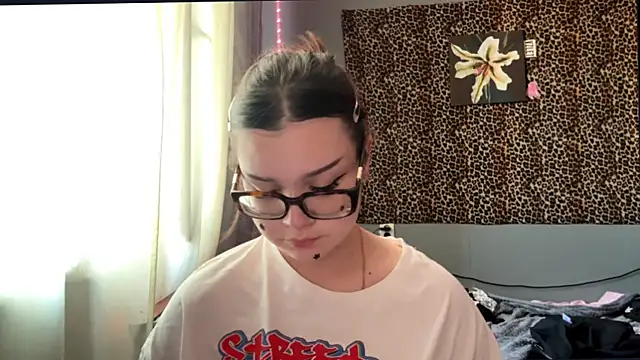 StellaCors online show from 5, 8, 2026