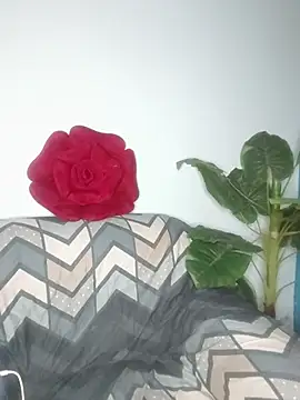 Snapshot of Cupid_Mayra chatting on 5, 8, 2026 Cupid Mayra online show from 5, 8, 2026