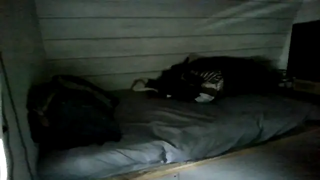 Snapshot of ThisGuy42o chatting on 5, 7, 2026 ThisGuy42o online show from 5, 7, 2026