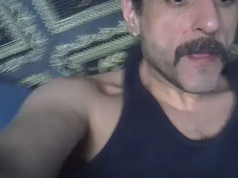Snapshot of BrunoAlphaBR chatting on 23, 6, 2026 BrunoAlphaBR online show from 23, 6, 2026