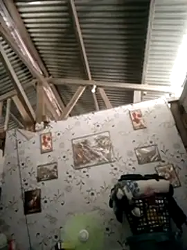 steppy  online show from 29, 7, 2026