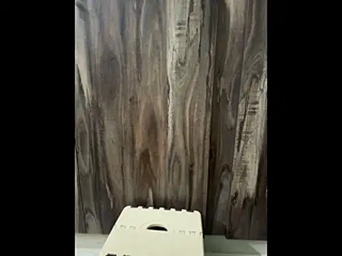 SatBull007 online show from 23, 11, 2025