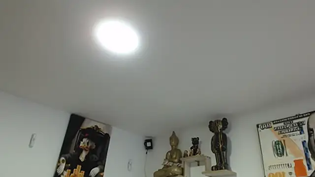 Novaluxee online show from 21, 7, 2026