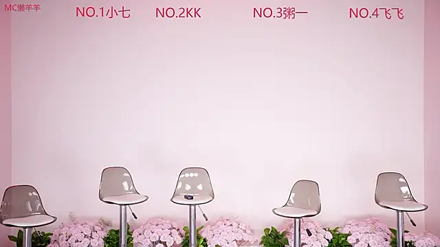 DY-88888 online show from 2, 8, 2026