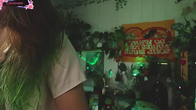 Dead Butterfly online show from 2, 11, 2025