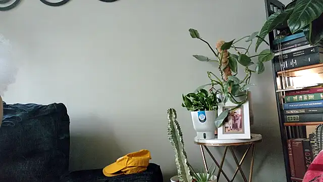 bestofdoseswirls online show from 8, 4, 2026