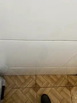 Snapshot of descret_19 chatting on 11, 2, 2026 descret 19 online show from 11, 2, 2026