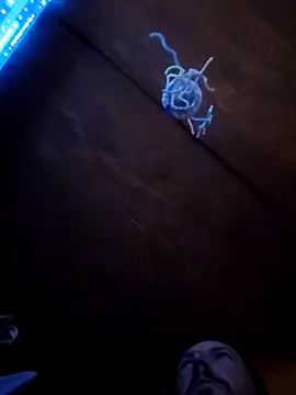 UncutHammer69 online show from 9, 4, 2026