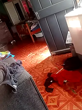 Snapshot of 2soyte chatting on 26, 9, 2025 2soyte online show from 26, 9, 2025