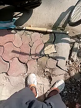 Bengali BULL1 online show from 20, 11, 2025