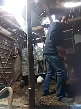 sarpe4 online show from 21, 2, 2026