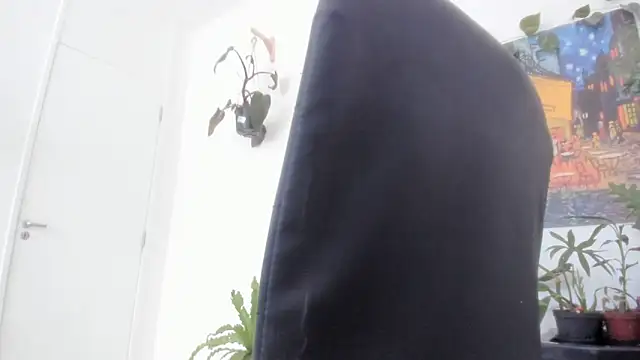 TaliMajesty online show from 7, 11, 2025