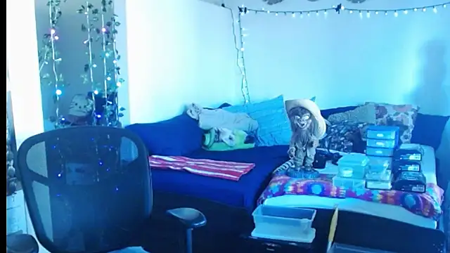 Snapshot of mycock2474u chatting on 25, 2, 2025 mycock2474u online show from 25, 2, 2025