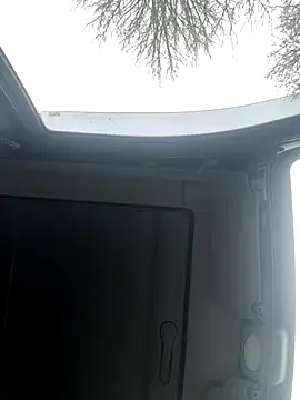 Lionayowe online show from 19, 11, 2025