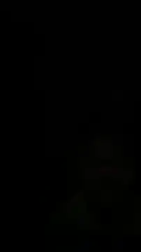 Lionayowe online show from 2, 12, 2025