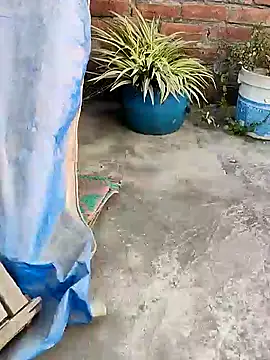 Snapshot of indianSmartboy chatting on 21, 12, 2024 indianSmartboy online show from 21, 12, 2024