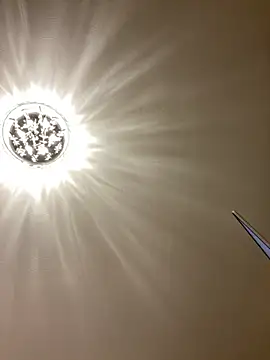 Snapshot of PreciousKittyXO chatting on 7, 11, 2025 PreciousKittyXO online show from 7, 11, 2025