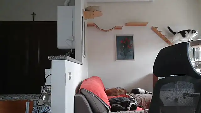 Snapshot of simona60 chatting on 9, 2, 2025 simona60 online show from 9, 2, 2025