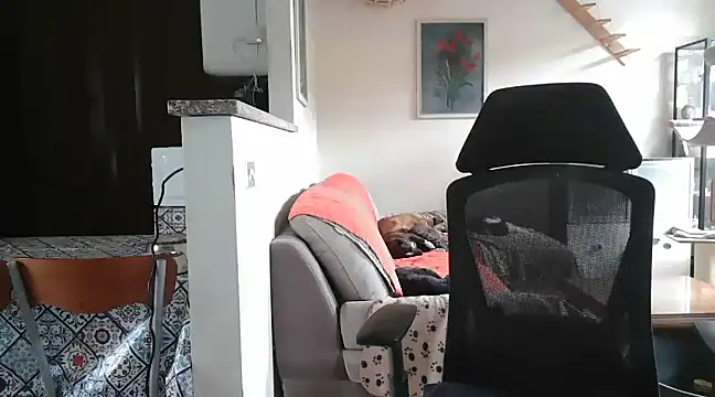 Snapshot of simona60 chatting on 23, 2, 2025 simona60 online show from 23, 2, 2025