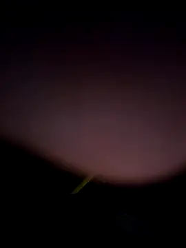 tropikboy online show from 25, 2, 2026