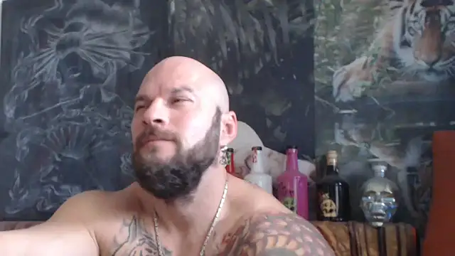 viking 30 online show from 24, 10, 2025