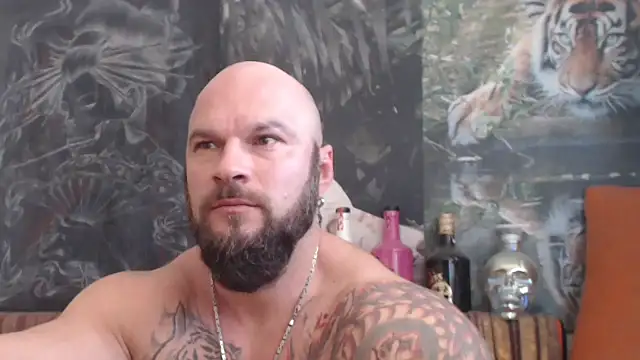 viking 30 online show from 2, 11, 2025