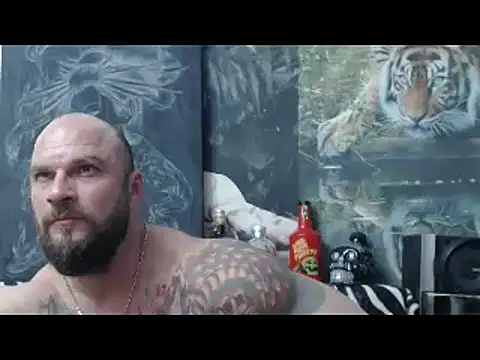 Snapshot of viking_30 chatting on 17, 4, 2026 viking 30 online show from 17, 4, 2026