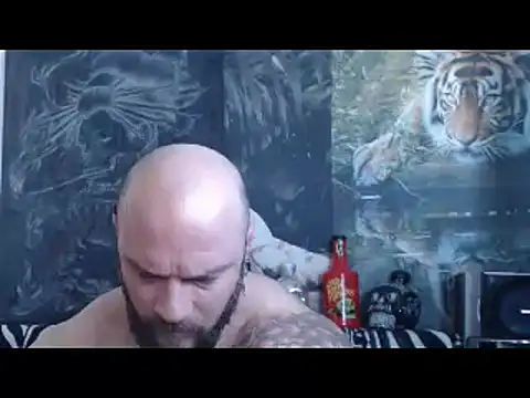 Snapshot of viking_30 chatting on 26, 4, 2026 viking 30 online show from 26, 4, 2026