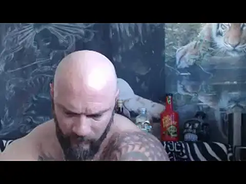 Snapshot of viking_30 chatting on 28, 4, 2026 viking 30 online show from 28, 4, 2026
