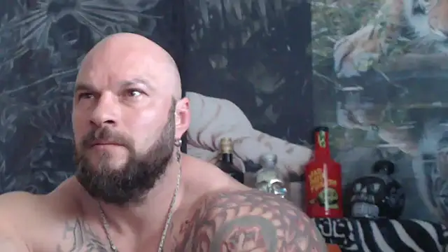 Snapshot of viking_30 chatting on 21, 5, 2026 viking 30 online show from 21, 5, 2026